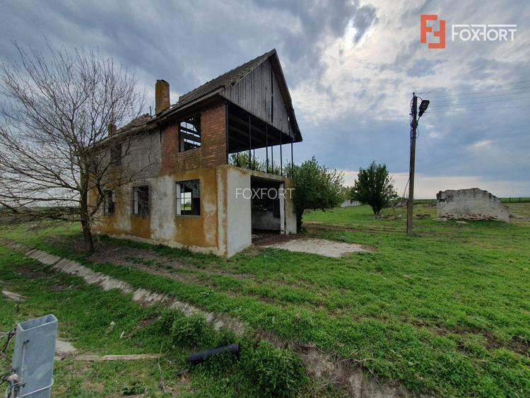 Teren intravilan cu suprafata de 58.340 mp, in Sanmartinul Sarbesc - 28