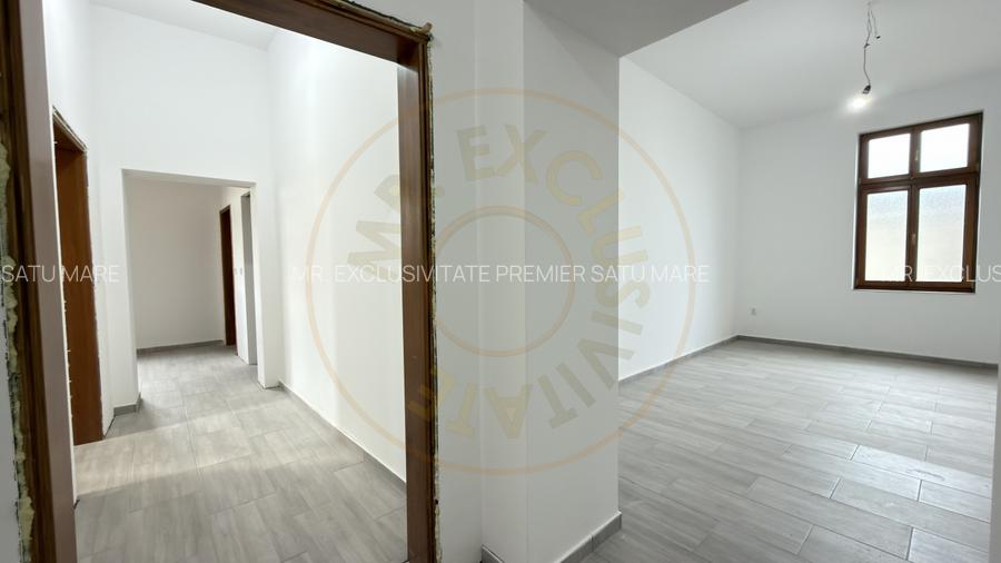 Cladire de inchiriat – ideala pentru clinica medicala sau alte afaceri - Carei - 5