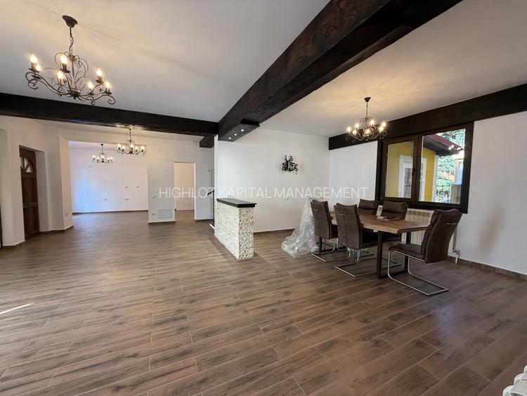 EROU IANCU NICOLAE STRADAL  | VILA IDEALA PENTRU COMERCIAL SAU REZIDENTIAL - 13