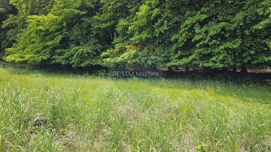 Teren Ilisesti  7000mp extravilan/ DN 17, Suceava - 31