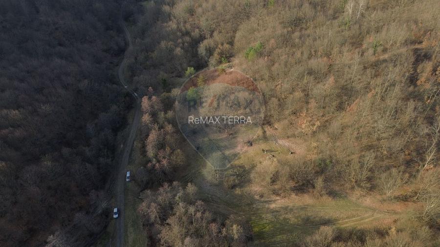 Poiană pentru cabana de vanzare intravilan Coas - 7