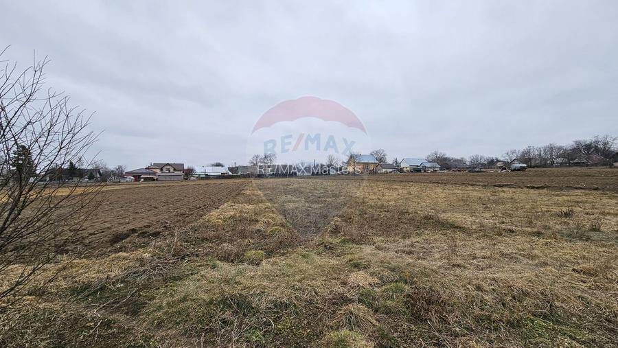 Casă / Vilă cu 12 camere, teren intravilan de 2869mp în Siminicea, SV - 12