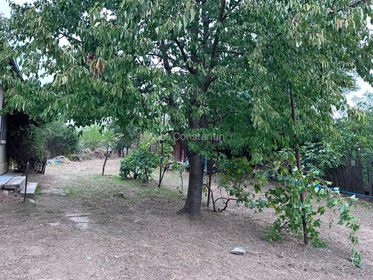 Casa 4 camere înalte, Ialomița, Ciochina, teren 1610 m, - 9