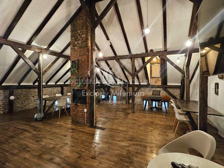 Vila Exclusivista Cișmigiu  - Stirbei Voda Birouri - 15