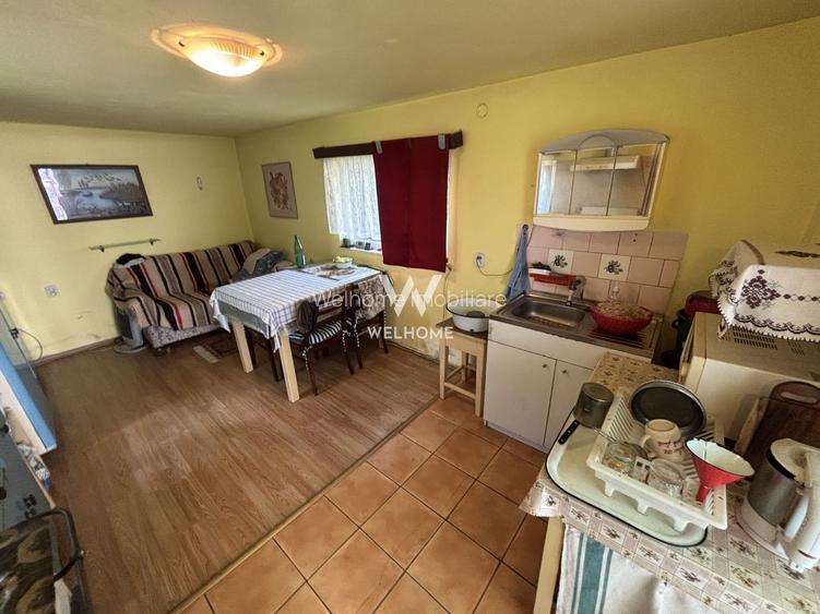 Casă individuală de vânzare în Turnișor | Curte superbă 585 mp - 34