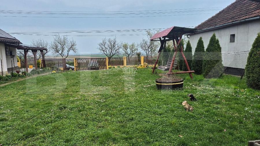 Casa cu 2 camere, 65 mp, teren 2910 mp, in Viile Satu Mare - 7
