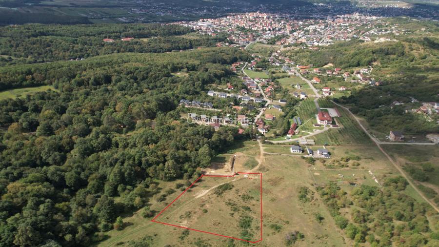 Teren intravilan constructii 1 ha, zona exclusivista, Meses/Bradet/Episcopie - 3