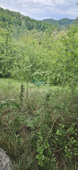 Teren Breaza  800mp pe colina priveliste superba - 15