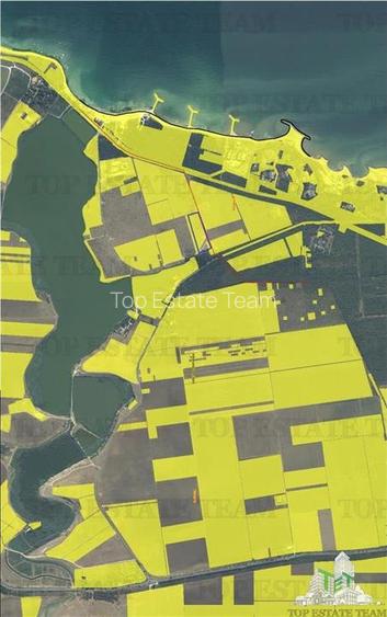 TEREN 23 AUGUST 4000 MP - 9