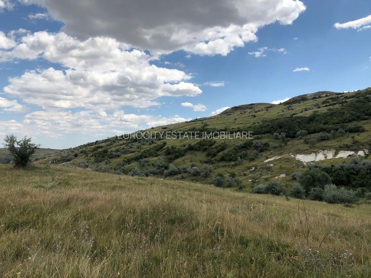 Vanzare 50 Ha pasune, judetul Prahova - 10