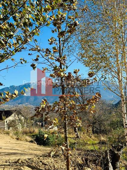 Teren Bran / Predelut cu priveliste 1840mp - 13