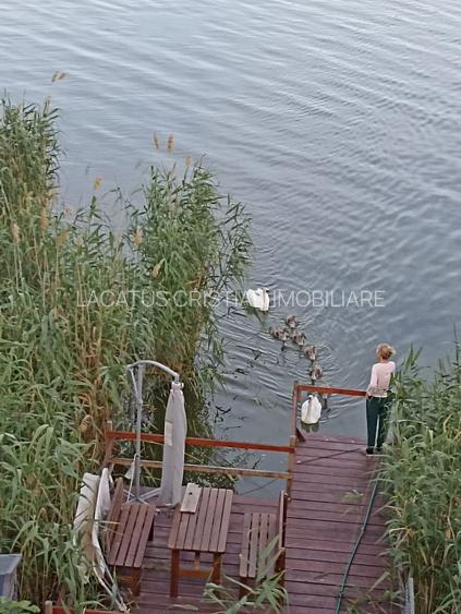 EXCLUSIVITATE! VILA UNICAT D+P+1 ZONA MAMAIA-SAT - 14