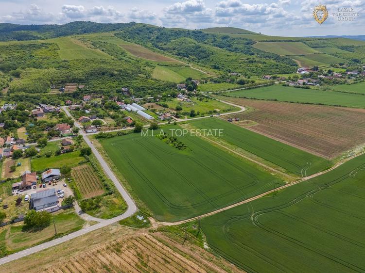 De vanzare teren intravilan Minis - 4