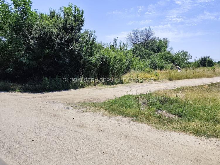 FARA COMISIOANE TEREN intravilan curs constructii la drum asfaltat gaze curent - 3