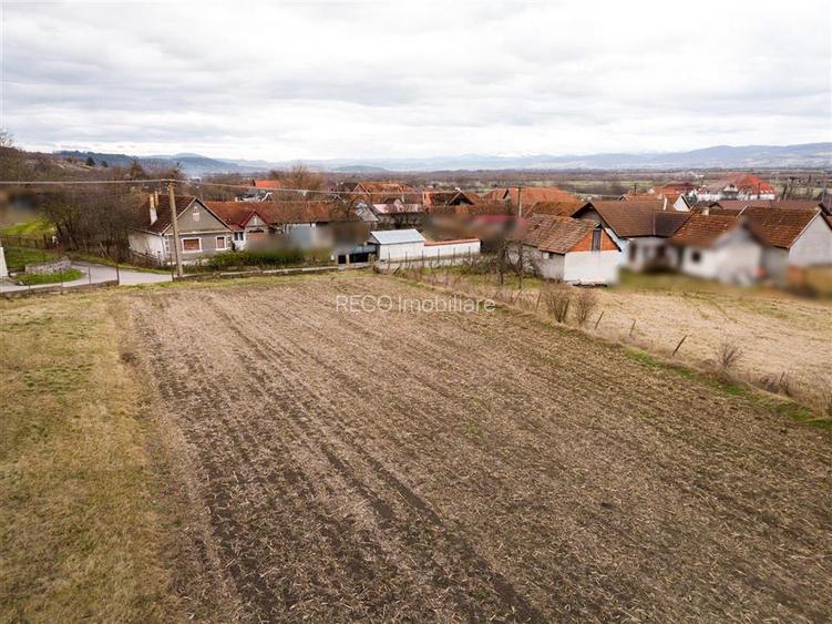 RECO ,teren intravilan in Tinaud,Bihor - 9