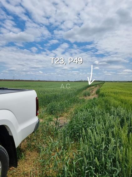 Proprietar, terenuri agricole extravilane, cadastru si intabulare, A0 - 9