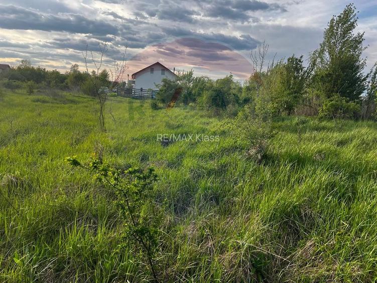 De vanzare | Teren intravilan 525mp in Teghes, comuna Domnesti, Ilfov - 7