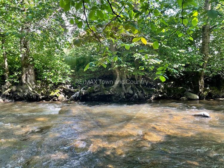 Teren 2,932mp Sarbi (Budesti) / Drumul Principal - 2