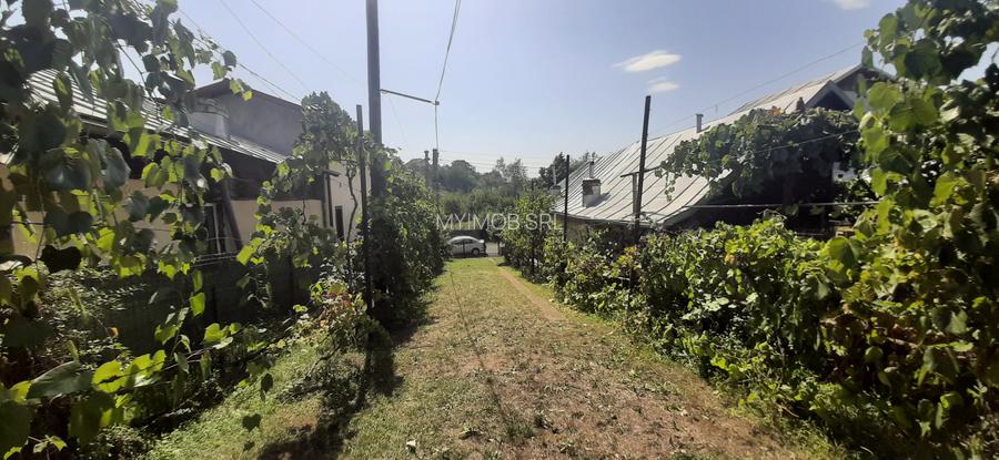 Oras Baicoi casa 90mp ,teren 1750 mp - 5