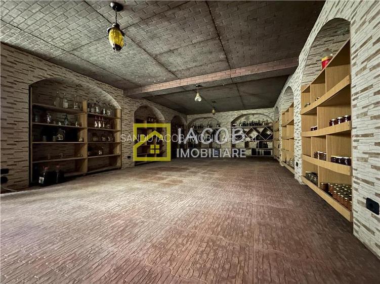 Casa impunatoare P+1+M in Cleja  ideala pentru locuinta sau investitie! - 4