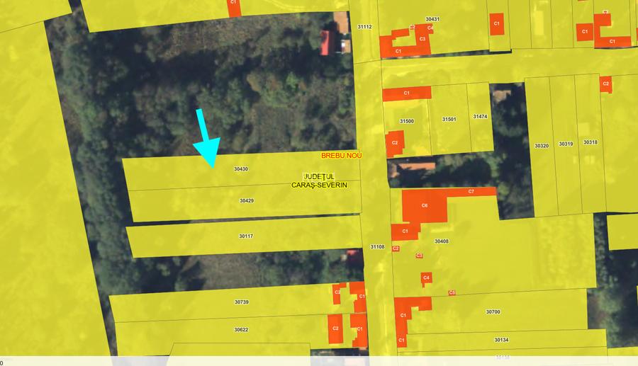 De vanzare teren in Brebu Nou  2877 mp - 9
