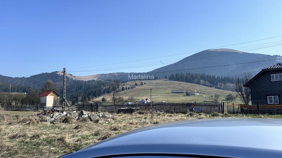 Teren de vânzare  Bucovina  - 3