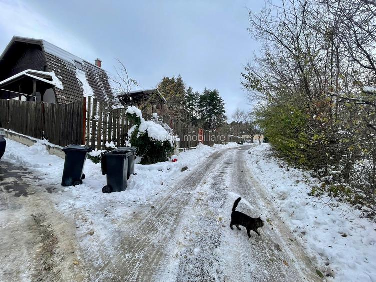 Teren de vanzare Sacele - 3