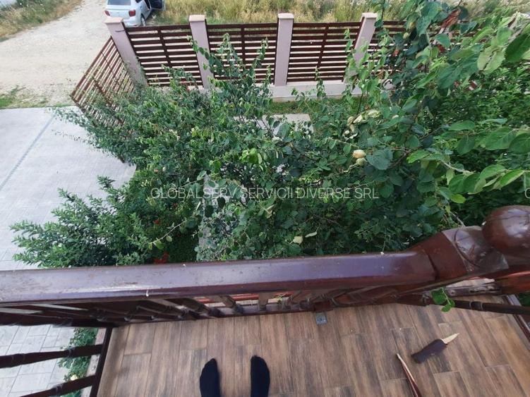 FARA COMISION casa 4 camere 2 bucatarii 2 puturi beci livada 1500mp SAU 3300mp - 36