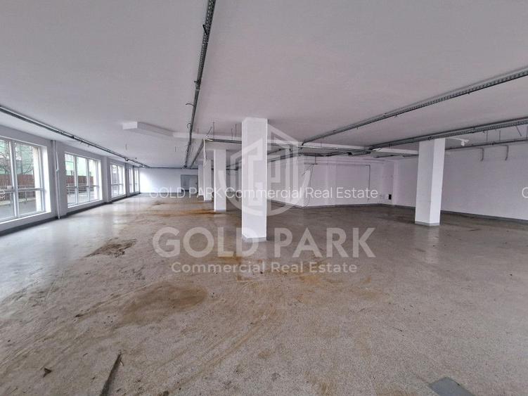 Spatiu Comercial - Marasti - Vitrina la Strada - 441 mp - 9