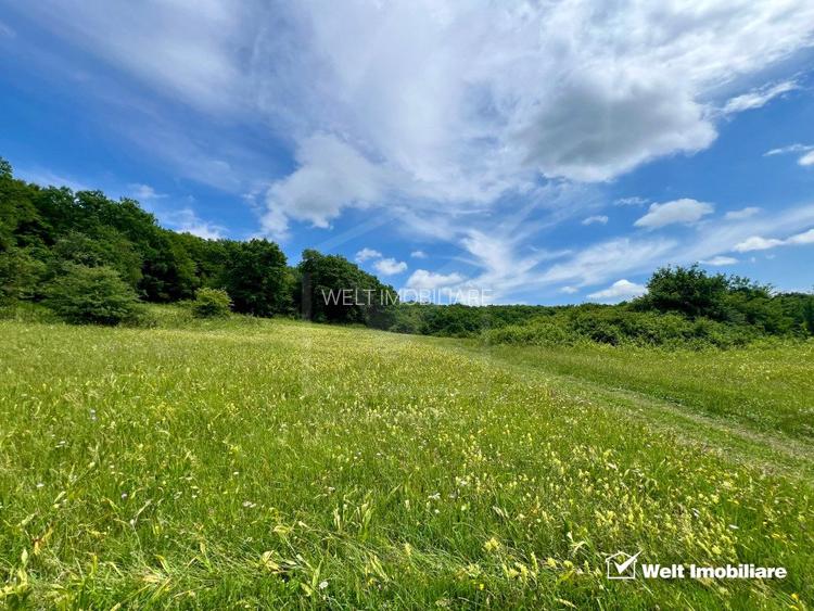 Oportunitate investitie, teren cu panorama pentru cabane - 5