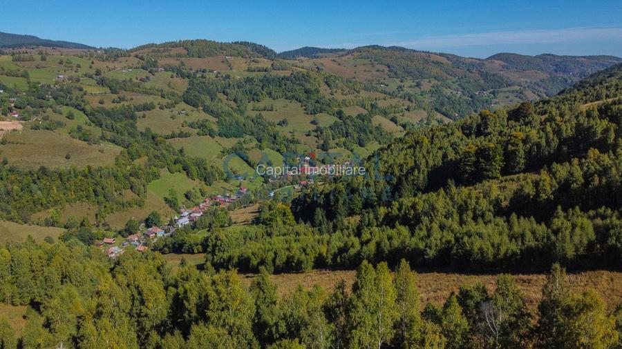 Comision 0% teren intravilan 1000 mp, PUZ, priveliste, Baisoara - 11