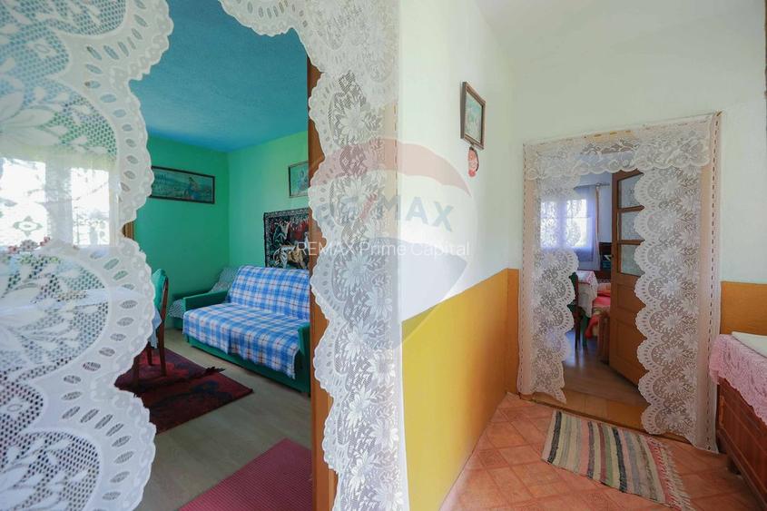 De vânzare casă cu teren și pădure 55706 mp - Șinteu, Valea Târnei - 9