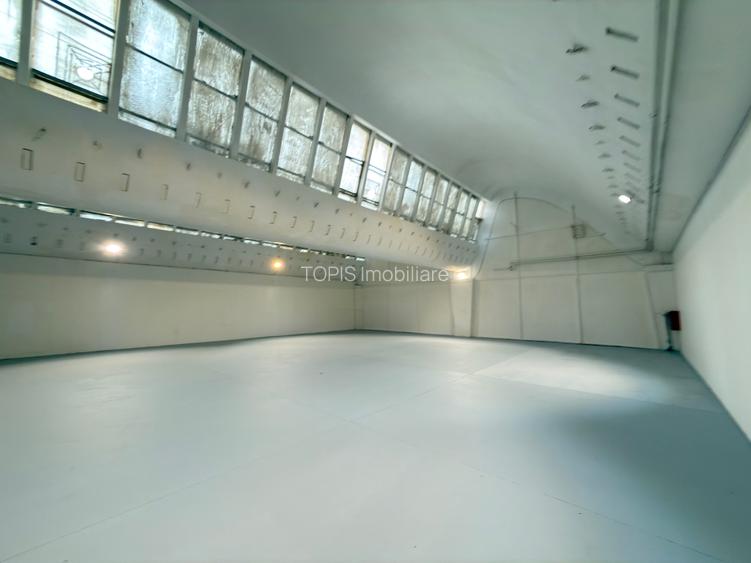 Pantelimon / Republica - Spațiu Industrial / Producție / Depozitare - 31