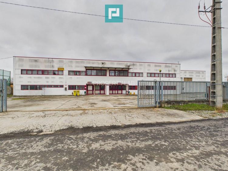 Hală de producție, cu birouri și teren, în Sebiș - 46