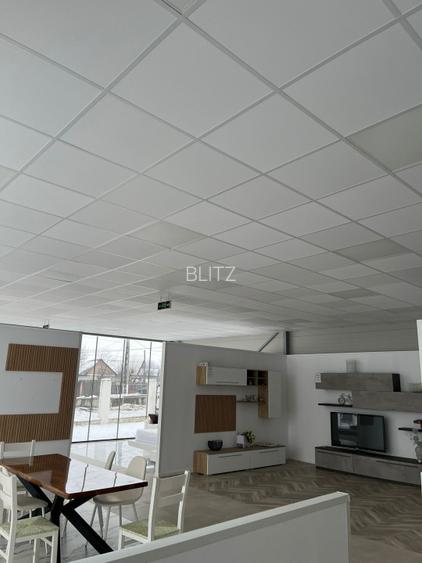 Showroom mobila cu expunere maxima la DN87, Galicea Mare, teren 1.900 mp - 3