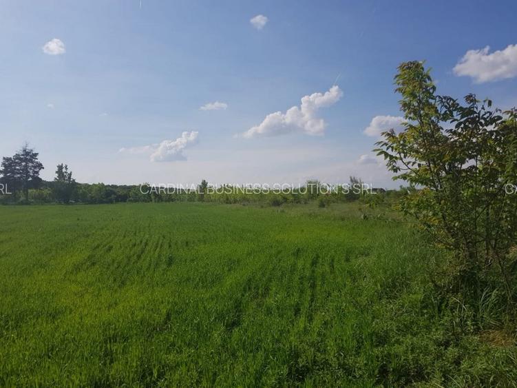 Ciolpani, zona Cimitir Britanic, stradal - 4