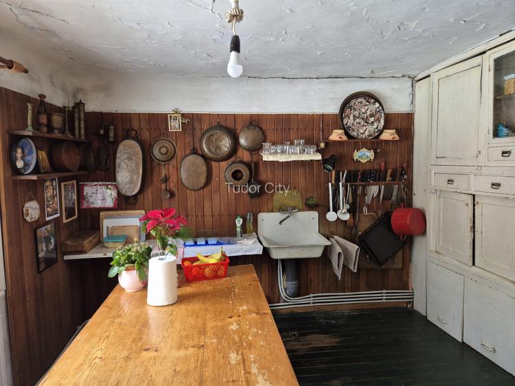 Moșia boierească din vârf de deal, Scorțeni - Prahova, comision 0% - 13