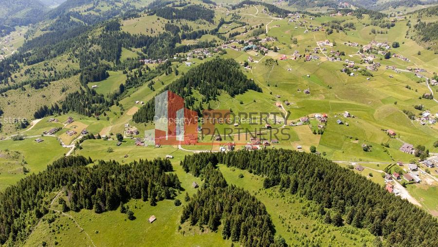 Teren Fundatica intravilan 4500 mp - 5