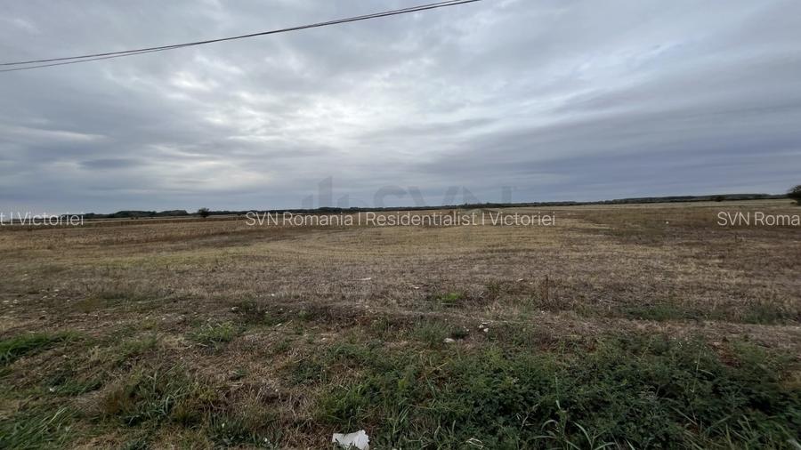 REL4001208 Teren intravilan oportunitate de investitie - 7