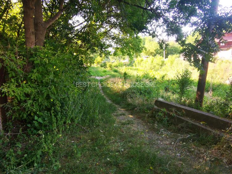 Central . 1200 mp la 1,4 km din Podu de Fier , toate utilitatile - 6