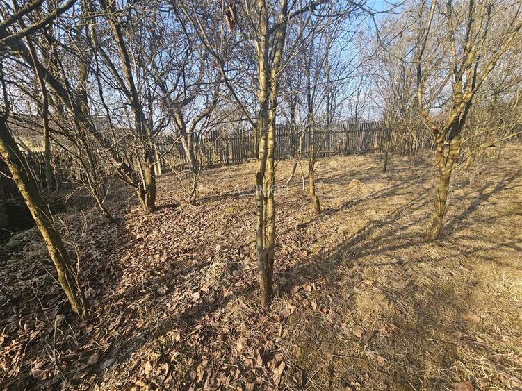 Teren 1000 mp si casa renovabila in Valcanesti . - 7