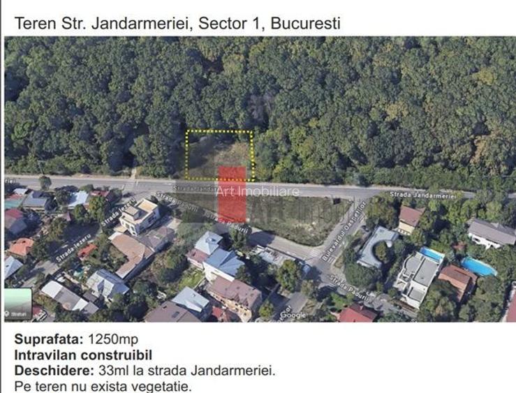 Teren padure Baneasa Jandarmeriei - 2