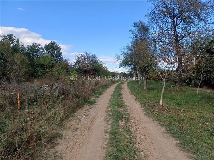 Resita, Teren Intravilan 2819 Mp., 16 Euro Mp., Calea Caransebesului, Km. 6 - 14