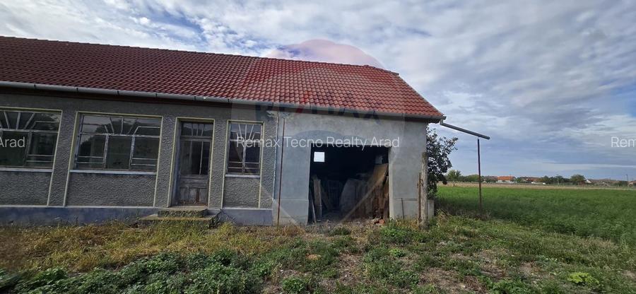 Teren si casă cu teren generos în Socodor - 23