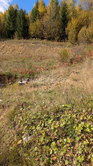 Teren intravilan 1000 mp-ideal cabana, investitie-Colibita - 2