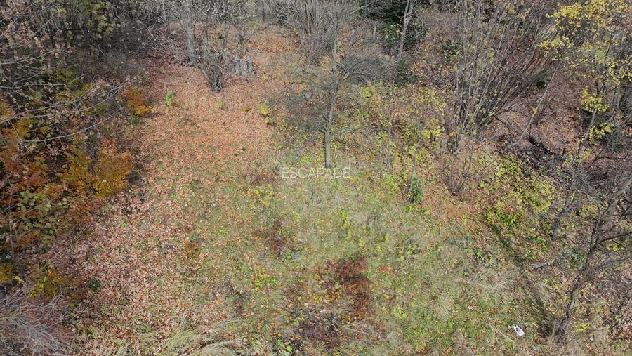 Casa de vacanta Timisu de Sus/Brasov/Oportunitate investitie - 10