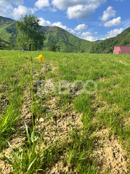 Teren 1059 mp in Raul Sadului– Natura  liniste si investitie - 5