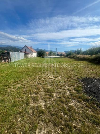 Teren de vânzare în exclusivitate – Tălmaciu - 6