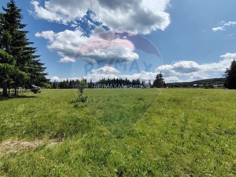 Teren 19,370mp Neagra Sarului / Strada Șestină - 10