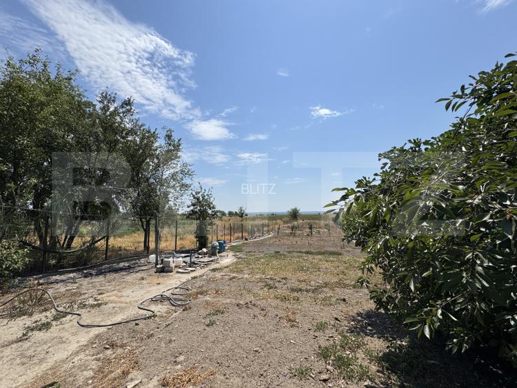 Casa pe parter Carna, 100 mp, 1500 mp teren - 13